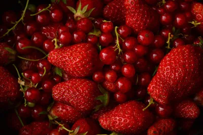 Wisata Petik Strawberry Batu Malang 2026 Tawarkan Tiket Terjangkau dan Aktivitas Seru untuk Keluarga