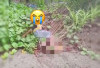  Video Bocah Kaki Putus Disabet Parang ODGJ Ramai di X, Pelaku Diserahkan ke Keluarga Tanpa Diamankan?