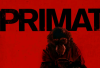Apakah Film Primate 2026 Bakal Lanjut Season 2?