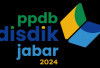 Sempat Down, Website PPDB Sudah Normal Lagi, Calon Peserta Didik Baru Bisa Daftar Lagi