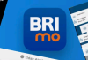Bagaimana Cara Cek BRImo Wrapped 2025?