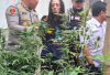 Profil Tampang Rama Petani Ganja di Jombang yang Resmi Ditangkap Polisi, Lengkap dari Umur, Agama dan Akun Instagram